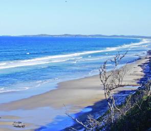 There are kilometres of beach to drive between Ballina and Evans Head but don’t waste your time attempting it at high tide. Driving or parking on Fragile coffee rock and dune vegetation should be avoided at all costs.